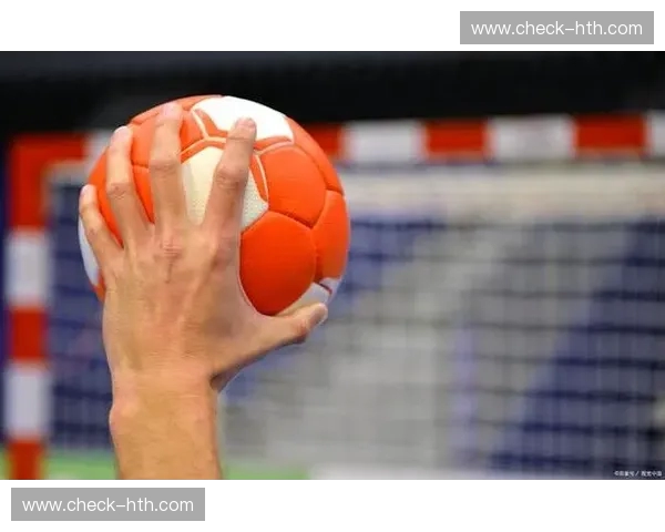 手球战术师 手球战术师