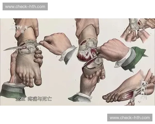 墨西哥vs乏味生活：一场关于感官、灵魂与荒诞的终极较量